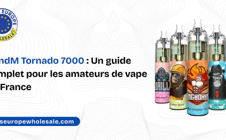 RandM Tornado 7000 : Un guide complet pour les amateurs de vape en France