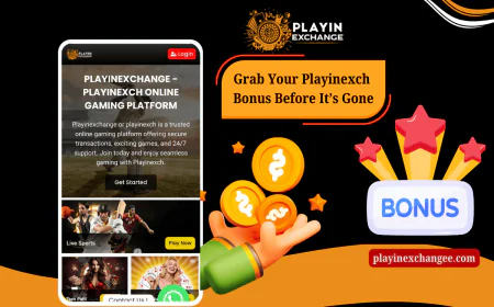 Grab Your Playinexch Bonus Before It’s Gone