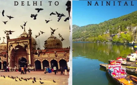 Group Trip to Nainital in a 16-Seater Traveller on Rent from Delhi