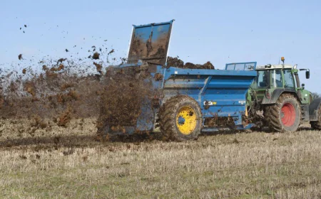 Why farmers should rely on the best organic tree fertilizer for better yields