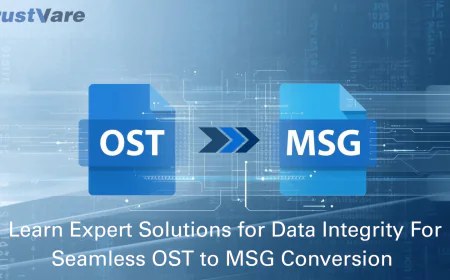 Learn Expert Solutions for Data Integrity For Seamless OST to MSG Conversion