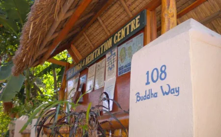 Top Yoga Retreats in Bali for Beginners & Advanced Yogis