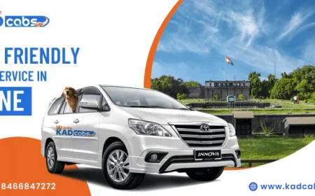 Explore Pune with Your Pets: The Benefits of Using Pet Friendly Taxi Services for Daily and Long Trips @KadCabs
