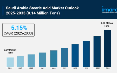 Saudi Arabia Stearic Acid Market Growth, Size, and Forecast Report 2025-2033