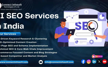 Best AI SEO and AEO Agency in India for Ecommerce Brands | Connect Infosoft