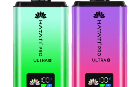The Next Generation: User Experience and Flavour Depth in the Hayati Pro Ultra Plus 25K pod