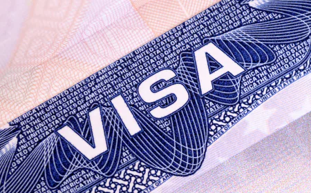 Indian Visa for Kenya Citizens and Indian Visa for Namibia Citizens: Essential Information for Travelers