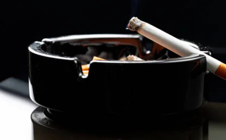 Explore Premium Cigars in New Zealand with Cigar NZ: Your Guide to the Finest Cigars