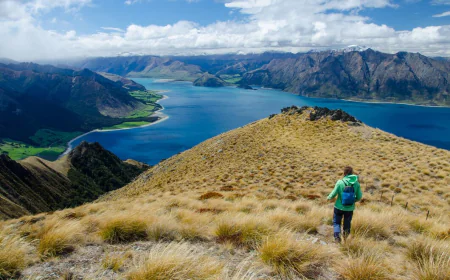 Why Should You Choose New Zealand Private Tours for Your Next Adventure?