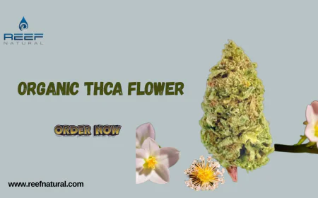 Premium Organic THCA Flower for Wellness & Calm