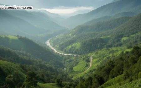 Visiting Sakleshpur On A Budget