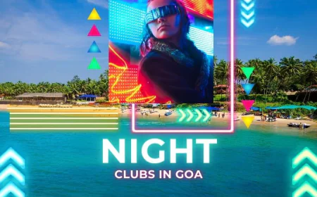 Best Nightclub in Goa