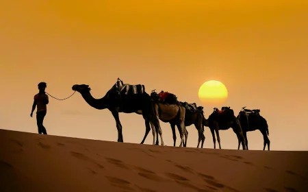 How to Choose the Best Morocco Tour with a Private Guide