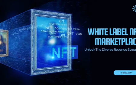 How White Label NFT Marketplace Drives New Revenue for Businesses
