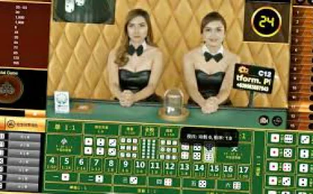 2025年初心者でも安全に遊べるおすすめオンラインカジノ完全解説