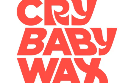 Wax Warmer for Hair Removal | Crybaby Wax