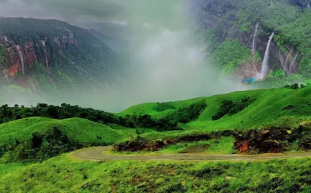 Where Is Kaziranga and Why This World-Famous National Park Is a Must-Visit Destination