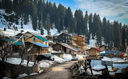 Best Himachal Pradesh Tour Packages for Summer Vacations
