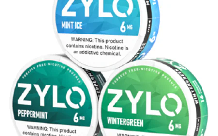 A Complete Guide to Flavor Variety and Contemporary Nicotine Enjoyment