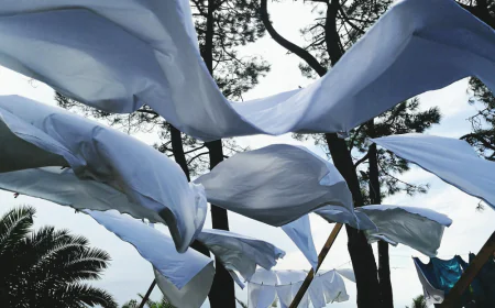 Top Colours and Prints in Bemberg Modal Satin for UAE Fashion Seasons