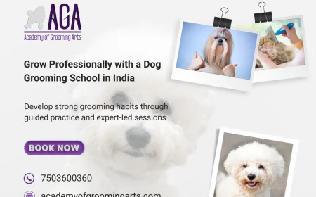 How Grooming Training Helps Dog Trainers Manage Behaviour Better