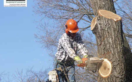 How Can Professional Tree Service in DC Protect Your Property?