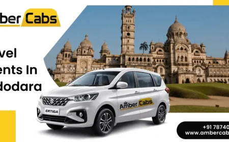 How a Travel Agent in Vadodara Plans Customized Tours for Families?