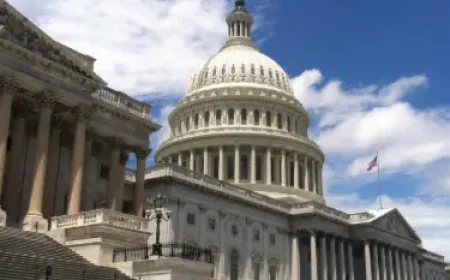 Why the Best Universities in the UK Attract Students from Around the World