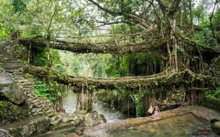 Assam Meghalaya Arunachal Pradesh Tour Packages – Explore Northeast India in One Journey