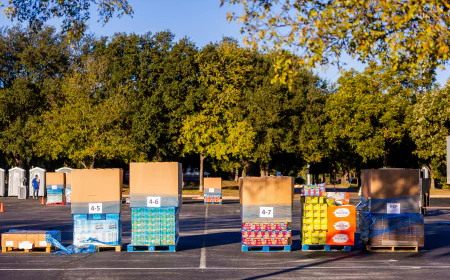 Reliable Exhibitors Transportation Solutions in RAK