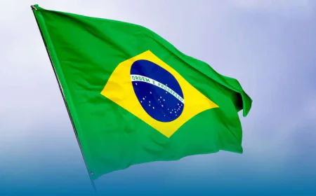 Navigating Success: A Guide to Pharmaceutical Registration and Regulatory Service in Brazil