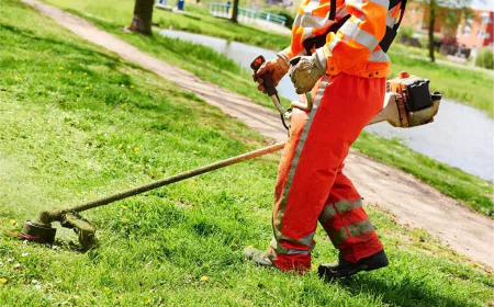 What’s Included in Professional Lawn Clean-Up Services in Canton, GA