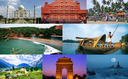 Safety and Food Tips Every Traveler Should Know Before Their Family Holiday to India