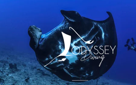 Croisière Plongée en Nouvelle-Calédonie : Une Aventure Sous-Marine Inoubliable