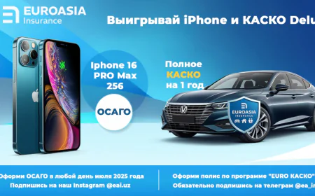 Онлайн страховка авто Ташкент: Как выбрать онлайн страховку авто?