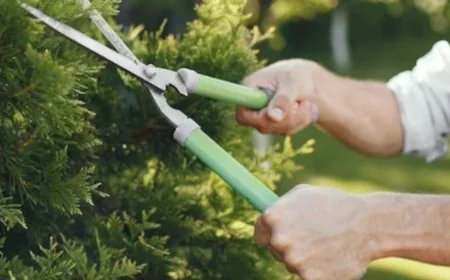 How To Keep Your Martha's Vineyard Lawn Green Through Winter