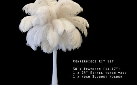 The Ultimate Guide to Sourcing Premium Feathers for Sale for Creative Arts