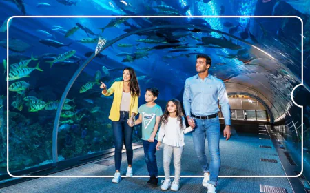 Singapore Tourist Pass: Effortless Travel Across the City