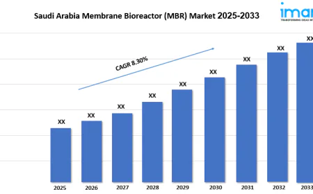 Saudi Arabia Membrane Bioreactor (MBR) Market Demand Outlook, Share Review and Report 2025-2033