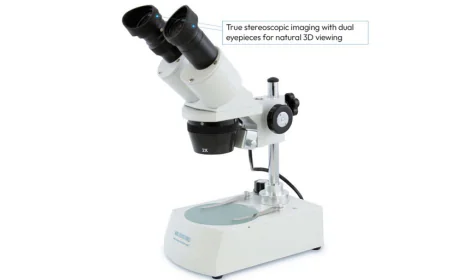 The Dissecting Microscope: A Window to a Whole New World for Your Children