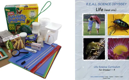 5 Great Reasons Why You Should Expose Your Child to Science Projects for Kids