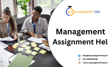 What Are the Best Resources for Management Assignment Help?