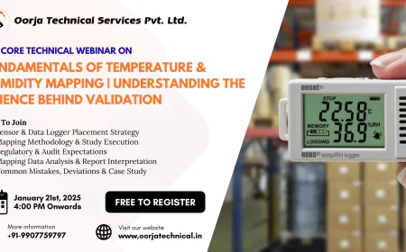Fundamentals of Temperature & Humidity Mapping: Understanding the Science Behind Validation