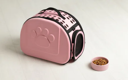 Training on the Go: Why Every Dog Owner Needs a Dog Treat Pouch