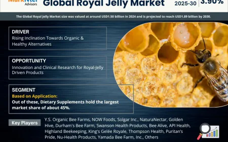 Royal Jelly Market Outlook 2030, 3.90% CAGR Expected