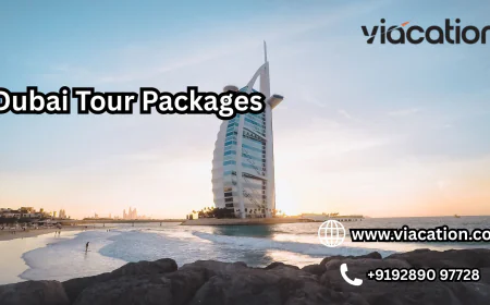 Which Dubai Packages Are Best for Couples and Families?