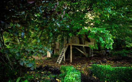 How Professional Garden Maintenance Keeps UK Outdoor Spaces Thriving