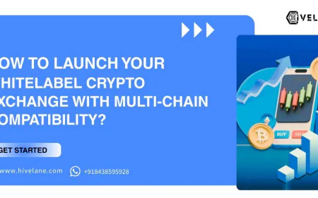 How to Launch Your Whitelabel Crypto Exchange With Multi-Chain Compatibility