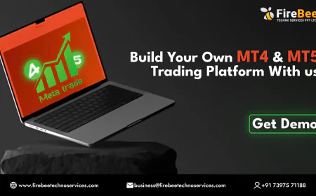 Everything You Need to Know Before Choosing the Right MT5 Development Company