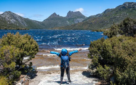 How Do You Choose the Right New Zealand Tour Packages for Your Trip?